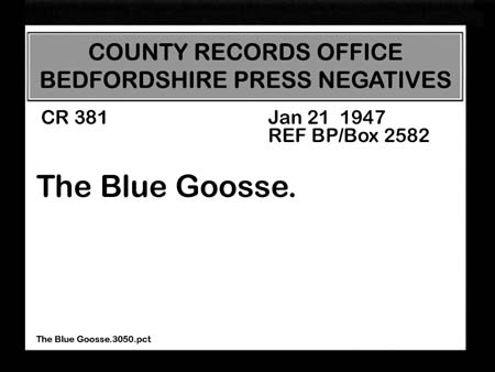 The Blue Goosse.3050