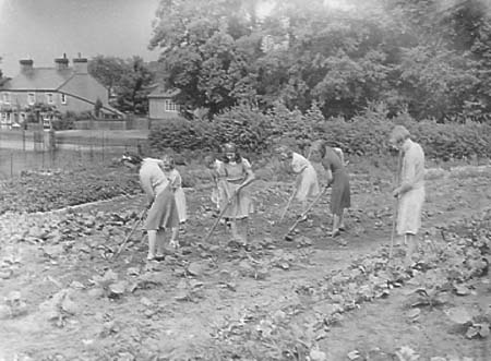 1942 Gardening 01