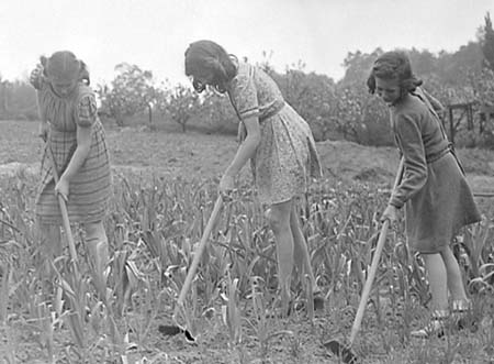 1947 Gardening 10