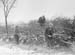 1947 Hedge Laying 01