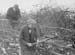 1947 Hedge Laying 02