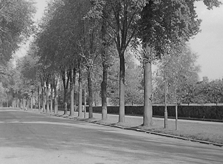 Park Avenue 1950 02