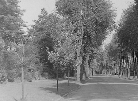 Park Avenue 1950 03