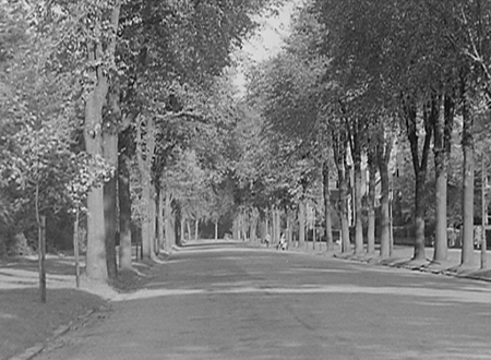 Park Avenue 1950 04