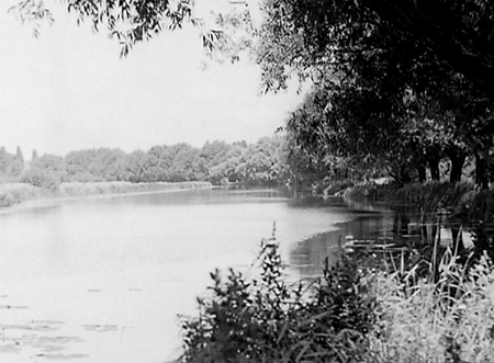 Riverside 1950 11