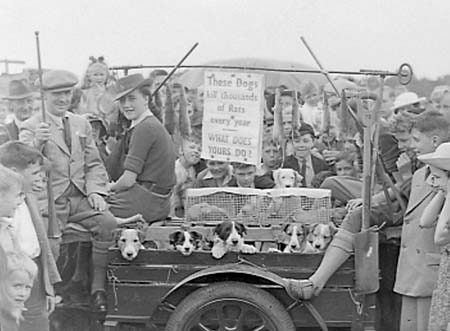 Farming Parade 50 1943