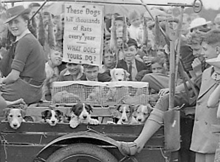 Farming Parade 51 1943