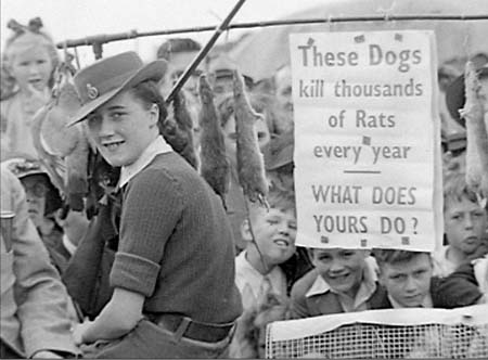 Farming Parade 52 1943