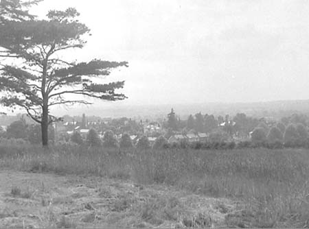 1955 Scenic Views 02