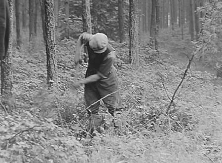 1939 Woods 05