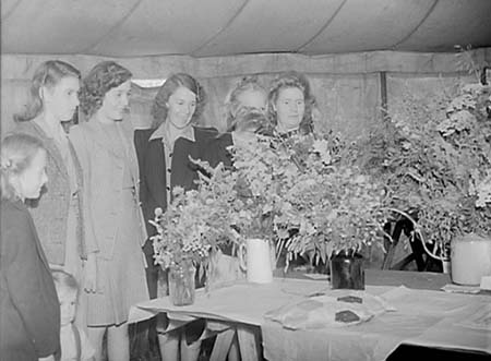 1946 Flower Show 01