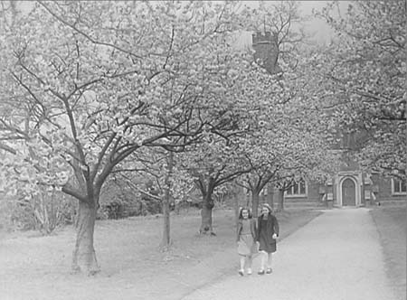 1948 Spring Blossom 01