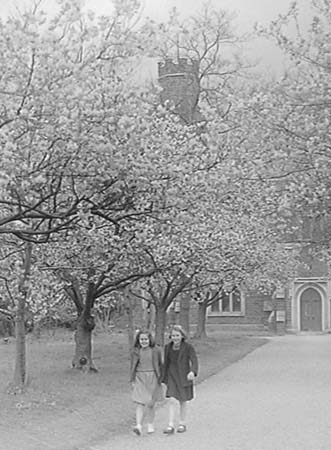 1948 Spring Blossom 03