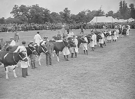 Grand Parade 04