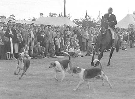 Foxhounds 04