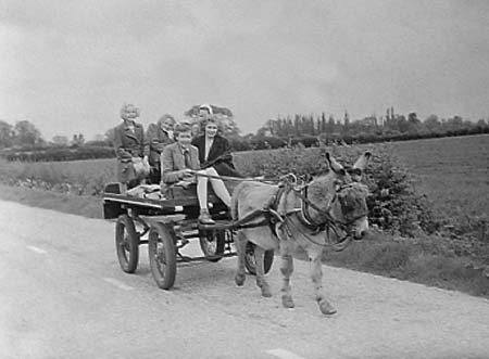 1943 Donkey Cart 01