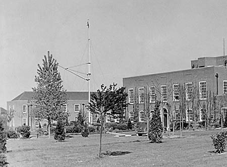 1946 College 05