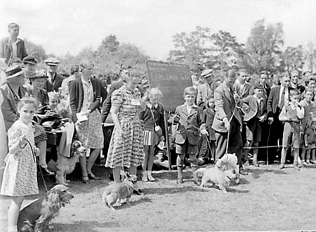 1947 Dog Show 01