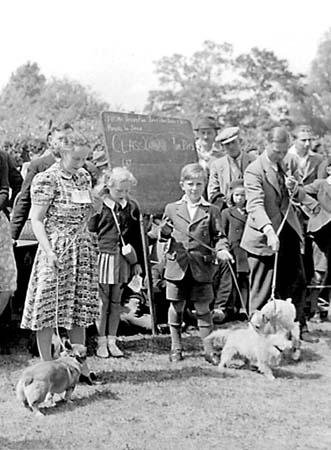 1947 Dog Show 03