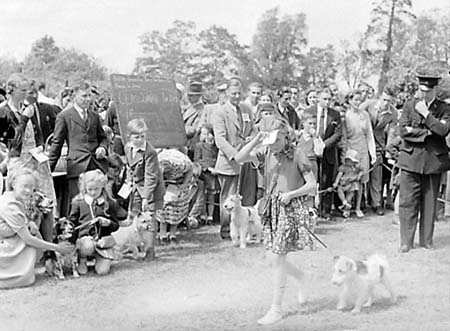 1947 Dog Show 04