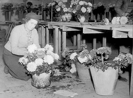 1949 Flower Show 01