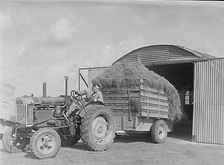 1950 Grass Drying 01