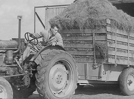 1950 Grass Drying 02