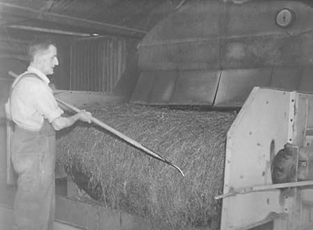 1950 Grass Drying 03