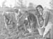 1953 Potato Planting 05