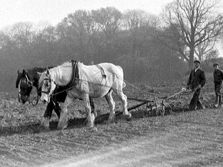 Ploughing 1943.2308