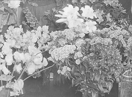 1949 Flower Show 04