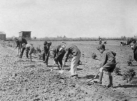 1942 Boy Gardeners 04