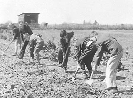 1942 Boy Gardeners 06