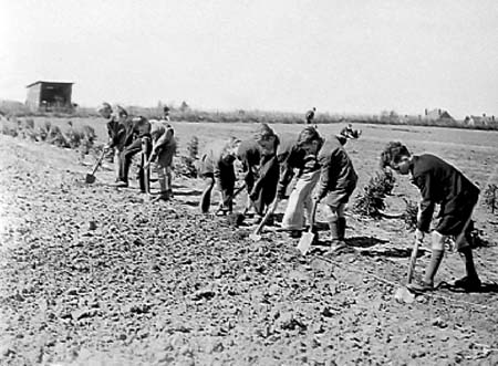 1942 Boy Gardeners 07