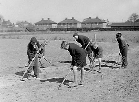 1942 Boy Gardeners 09