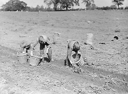 1944 Schoolchildren 10