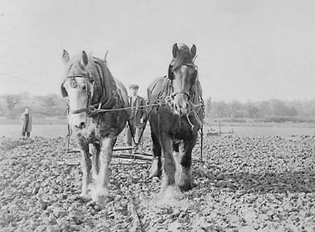 1946 Farming Scene 01