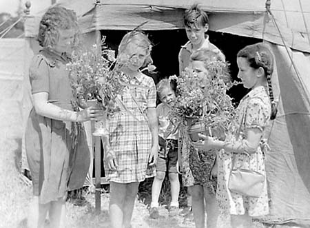 1947 Flower Show 01