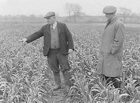 1947 Smallholders 03