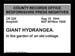 Giant Hydrangea 1944.2416