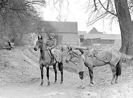 1953 Racehorses 05