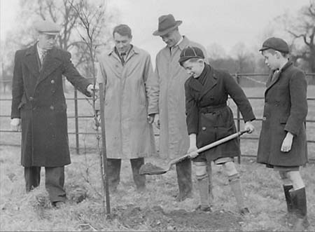 1951 Tree Planting 09