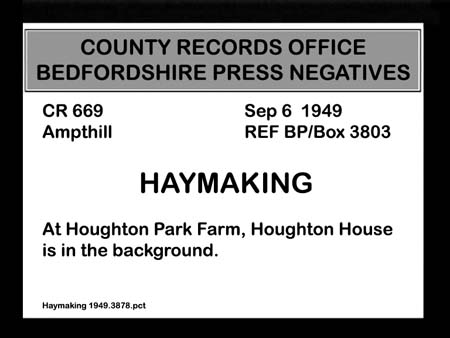 Haymaking 1949.3878