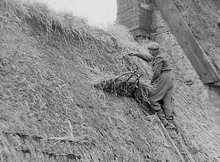 1947 Thatching 03