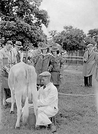 County Show 01 1946