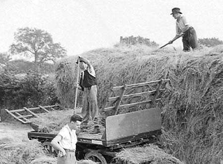 1941 Haymaking 04