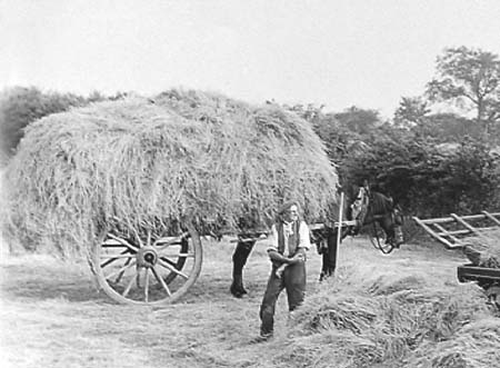 1941 Haymaking 05