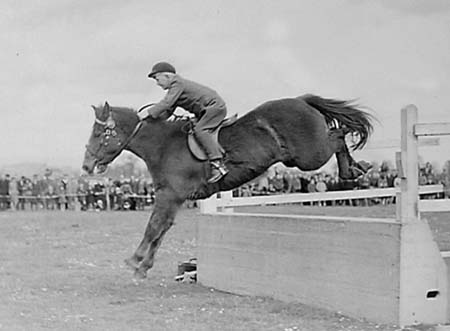 1945 Gymkhana 09