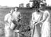 1949 Potato Harvest 07