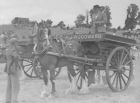 1947 Horse Show 03